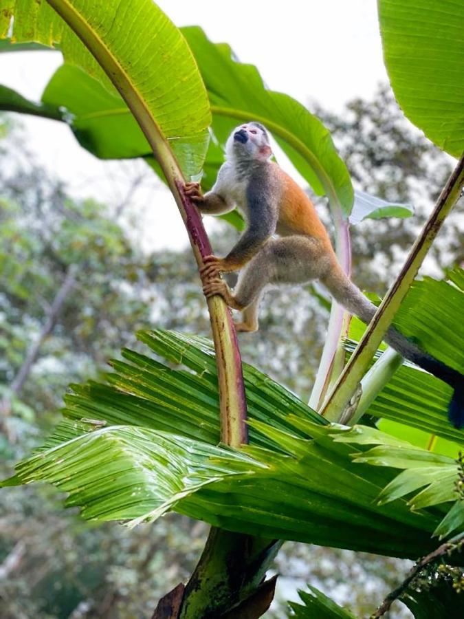Suenos De Amor! Hermoso Y Acogedor Lugar Кепос Екстер'єр фото