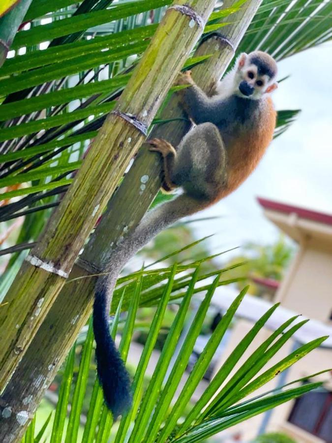 Suenos De Amor! Hermoso Y Acogedor Lugar Кепос Екстер'єр фото