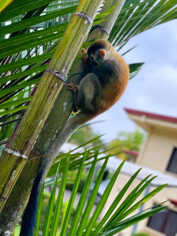 Suenos De Amor! Hermoso Y Acogedor Lugar Кепос Екстер'єр фото